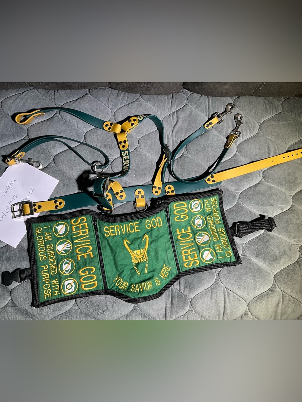 Biothane Service Dog Gear Set